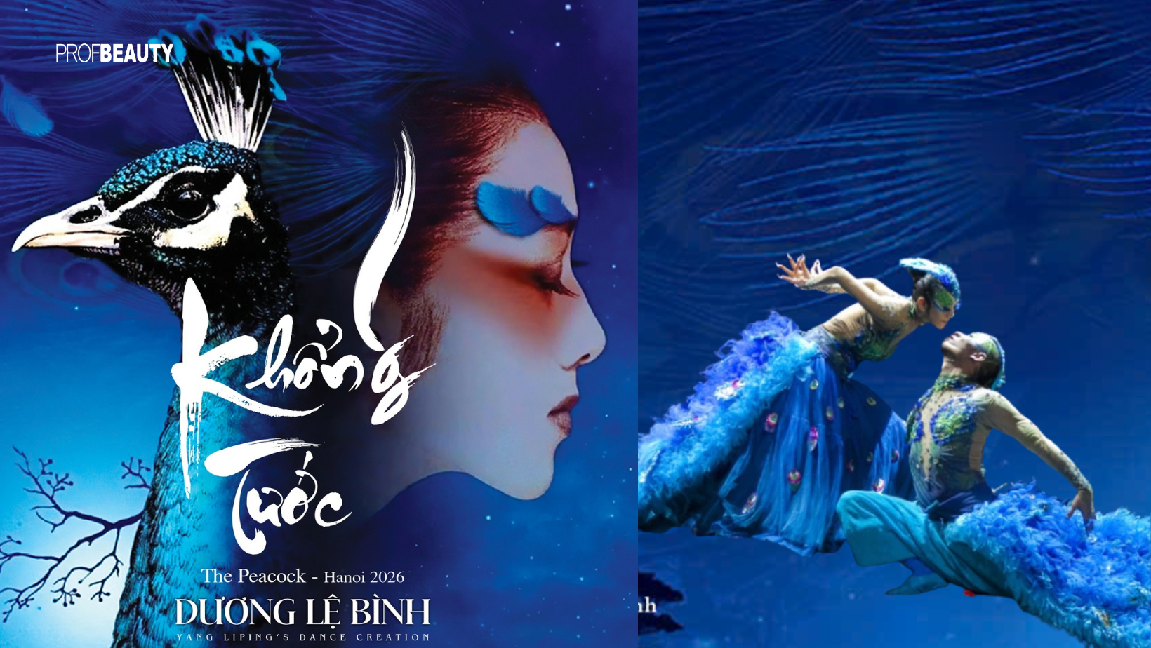 Chim Công làng múa Trung Quốc Dương Lệ Bình lần đầu biểu diễn tại Việt Nam