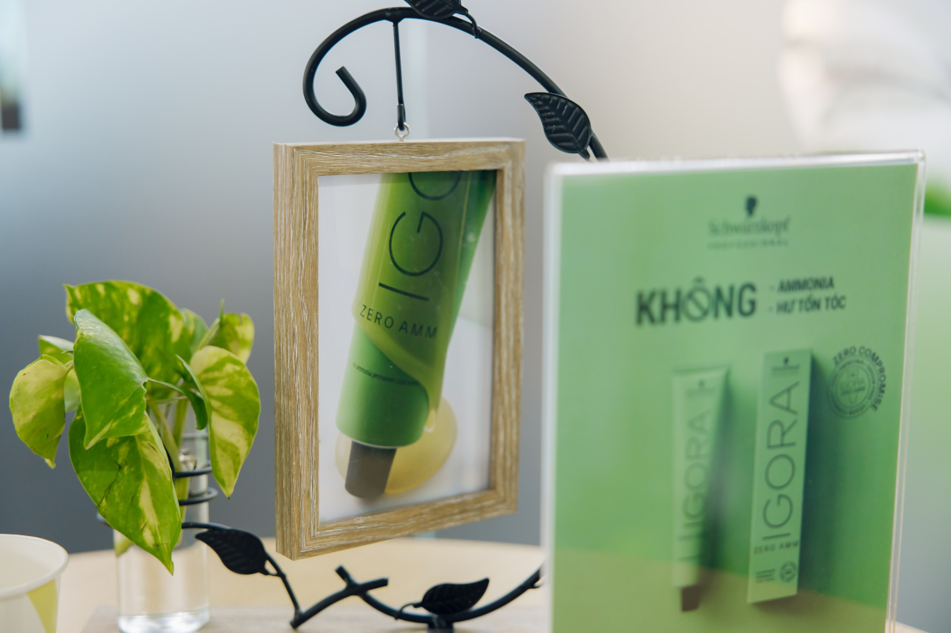 ra-mat-mau-nhuom-igora-zero-amm-khong-ammonia-tai-viet-nam-buoc-tien-vuot-bac-trong-viec-nhuom-toc-an-toan-7