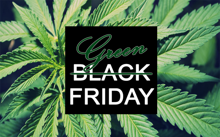 thu-sau-den-toi-sang-cho-kinh-te-nhung-co-sang-voi-moi-truong- -3