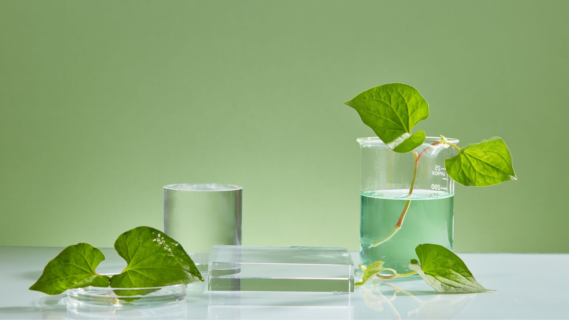 5-cach-tri-mun-lung-tai-nha-hieu-qua-ma-ai-cung-nen-thu-6