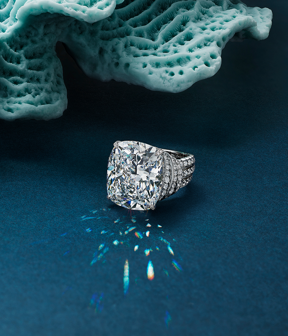 bi-mat-dang-sau-nhung-kiet-tac-sea-of-wonder-cua-tiffany-co-5