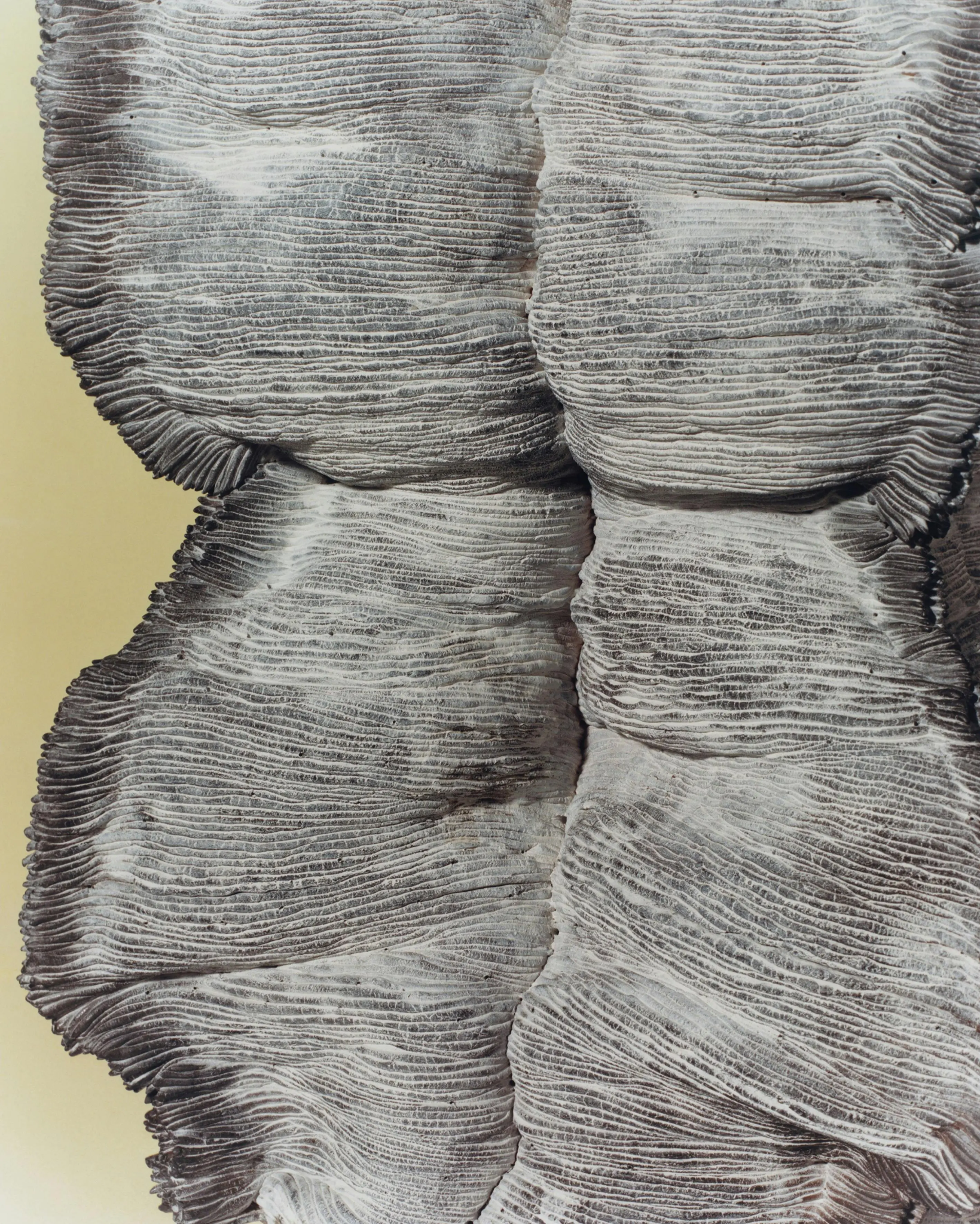 he-lo-cai-ten-gianh-giai-thuong-thu-cong-danh-gia-tu-loewe-foundation-10