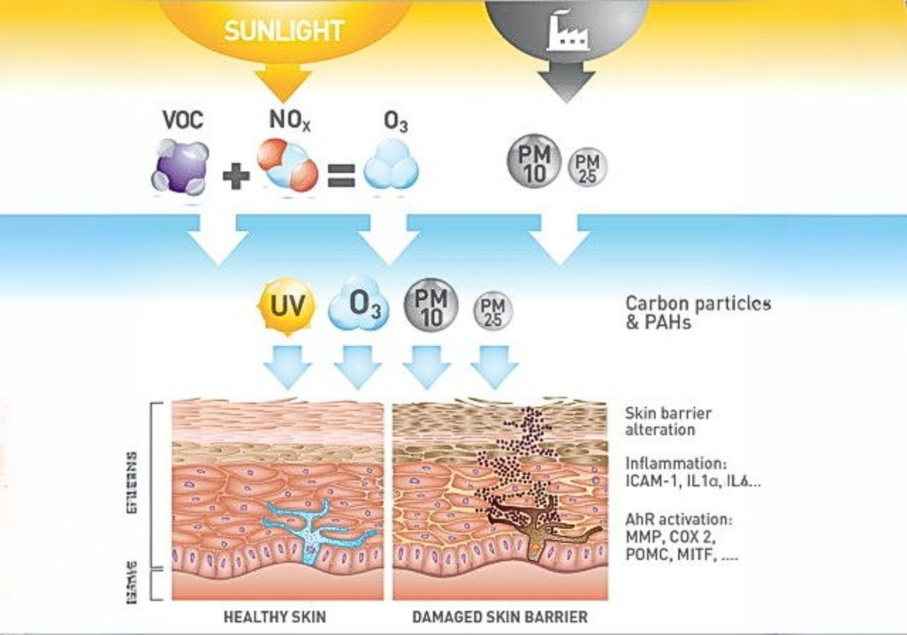 loi-thoat-nao-cho-lan-da-trong-thoi-dai-o-nhiem-3