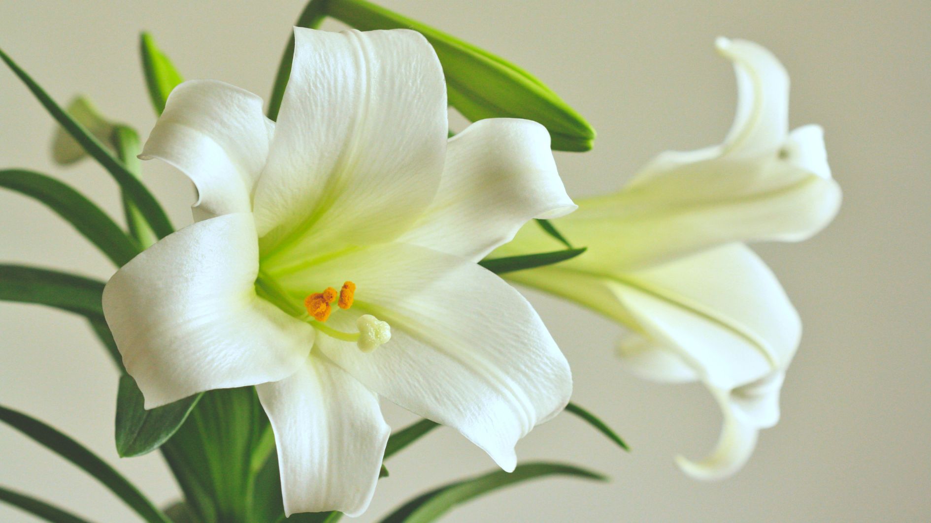 8-3-tang-hoa-gi-cho-phai-dep-3