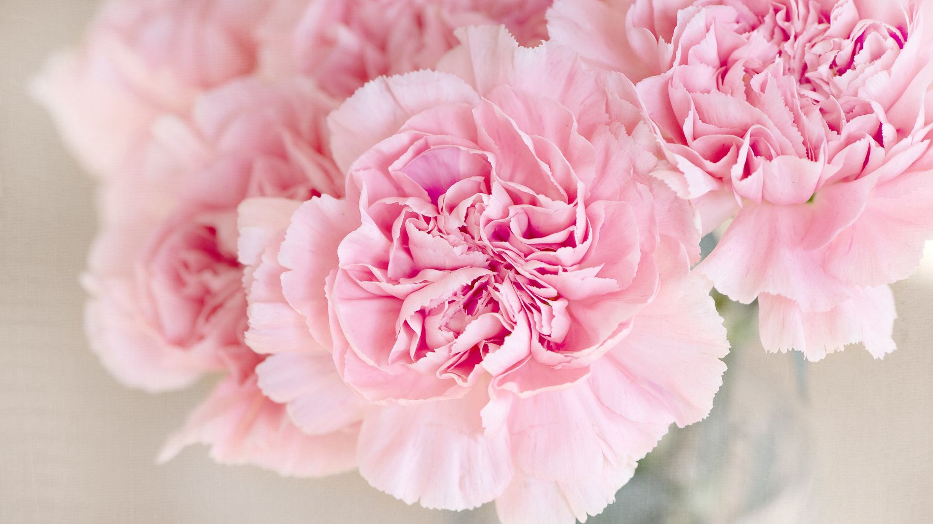 8-3-tang-hoa-gi-cho-phai-dep-6