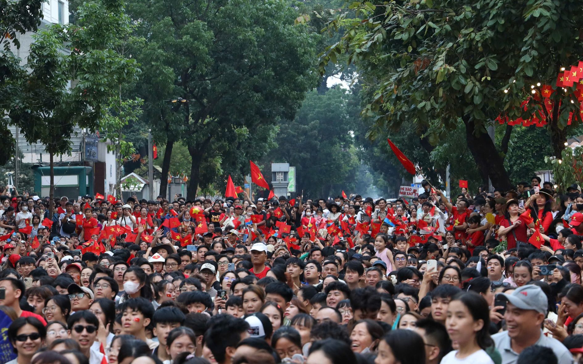 ruc-ro-co-do-sao-vang-tren-khap-tp-hcm-trong-ngay-hoi-non-song-2