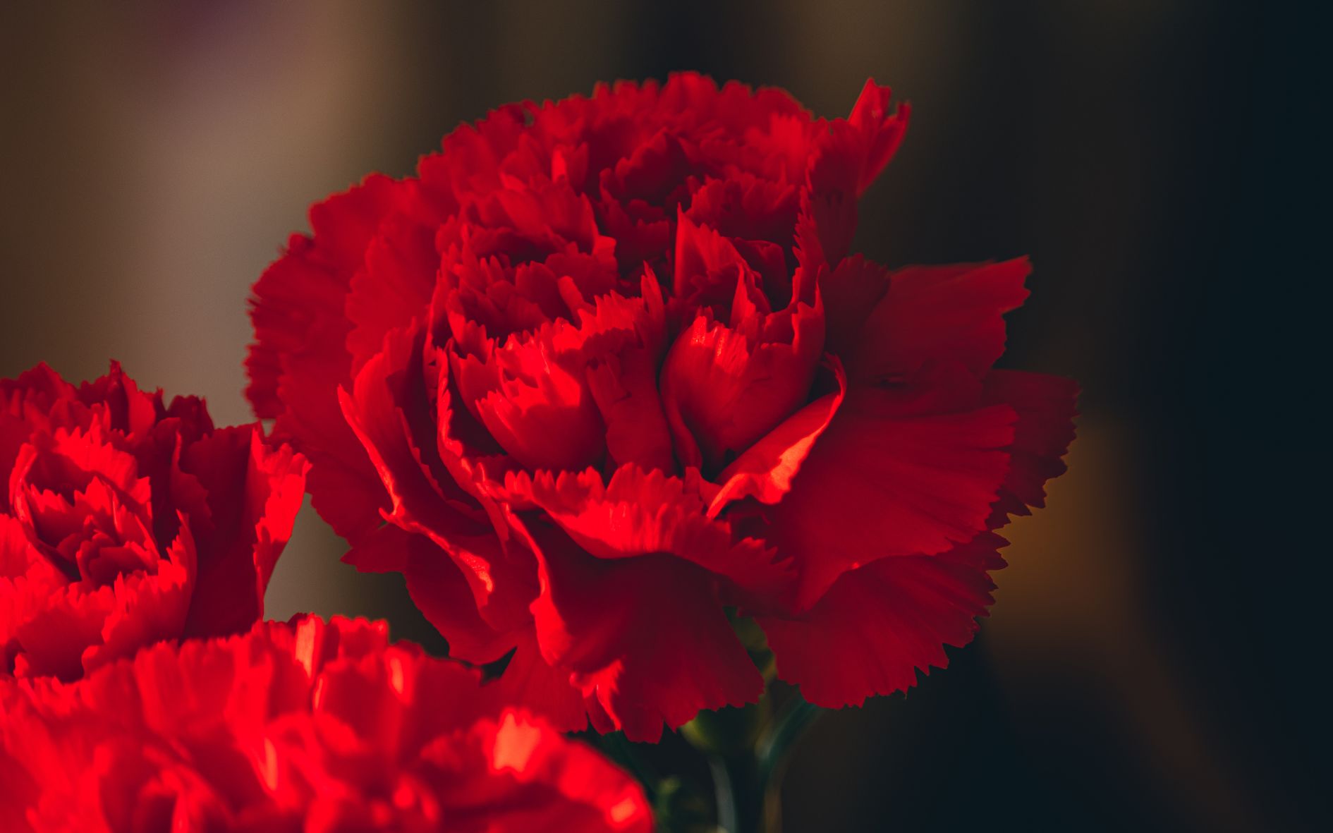 vi-sao-ngay-cua-me-lai-roi-vao-chu-nhat-thu-hai-cua-thang-5-3