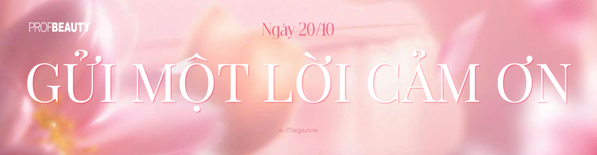 Banner Zoom in