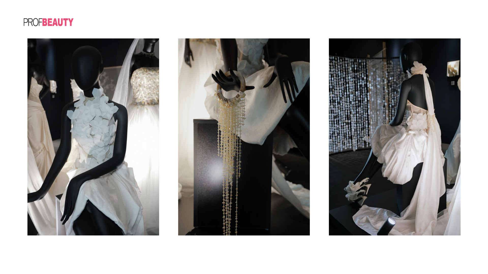 Banner Full Width