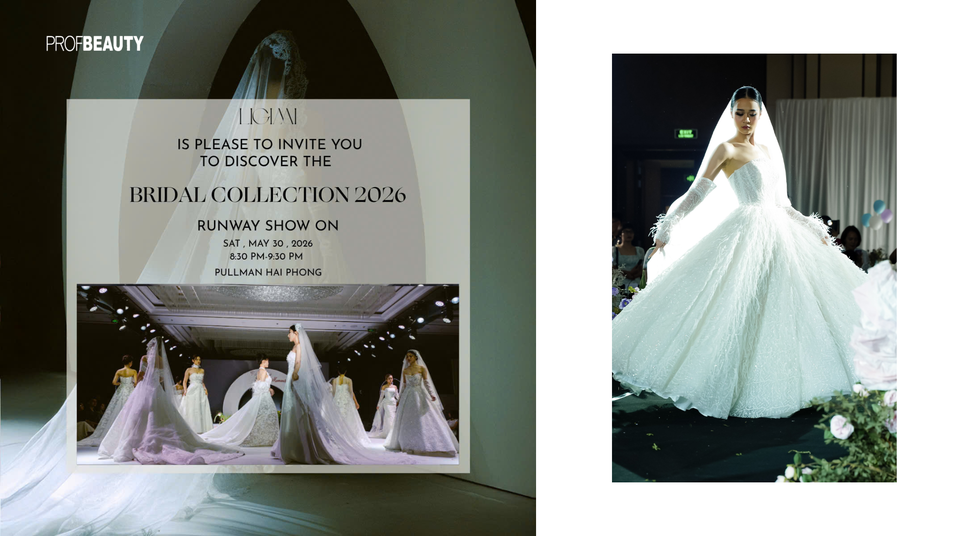Banner Full Width