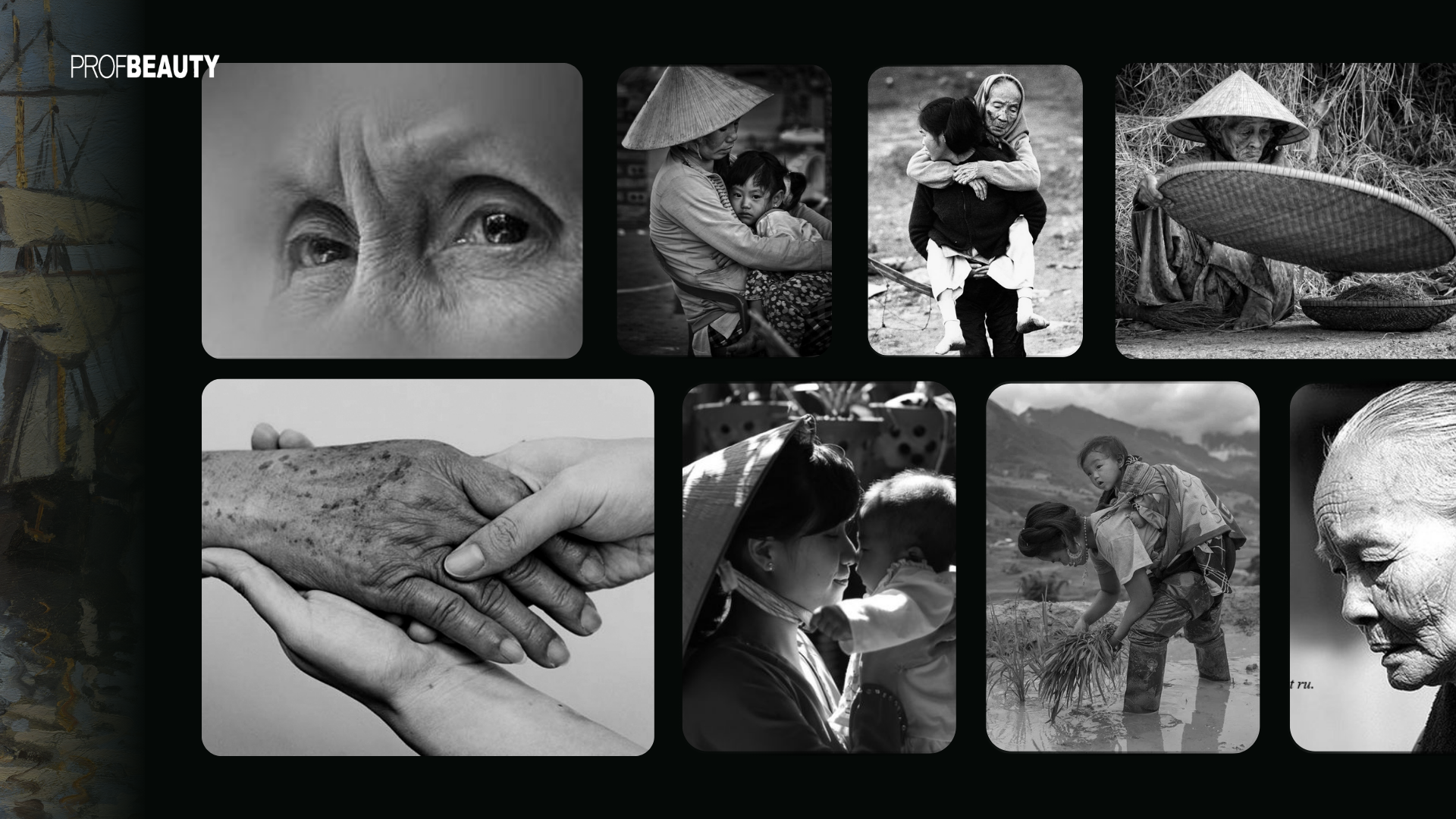 Banner Full Width