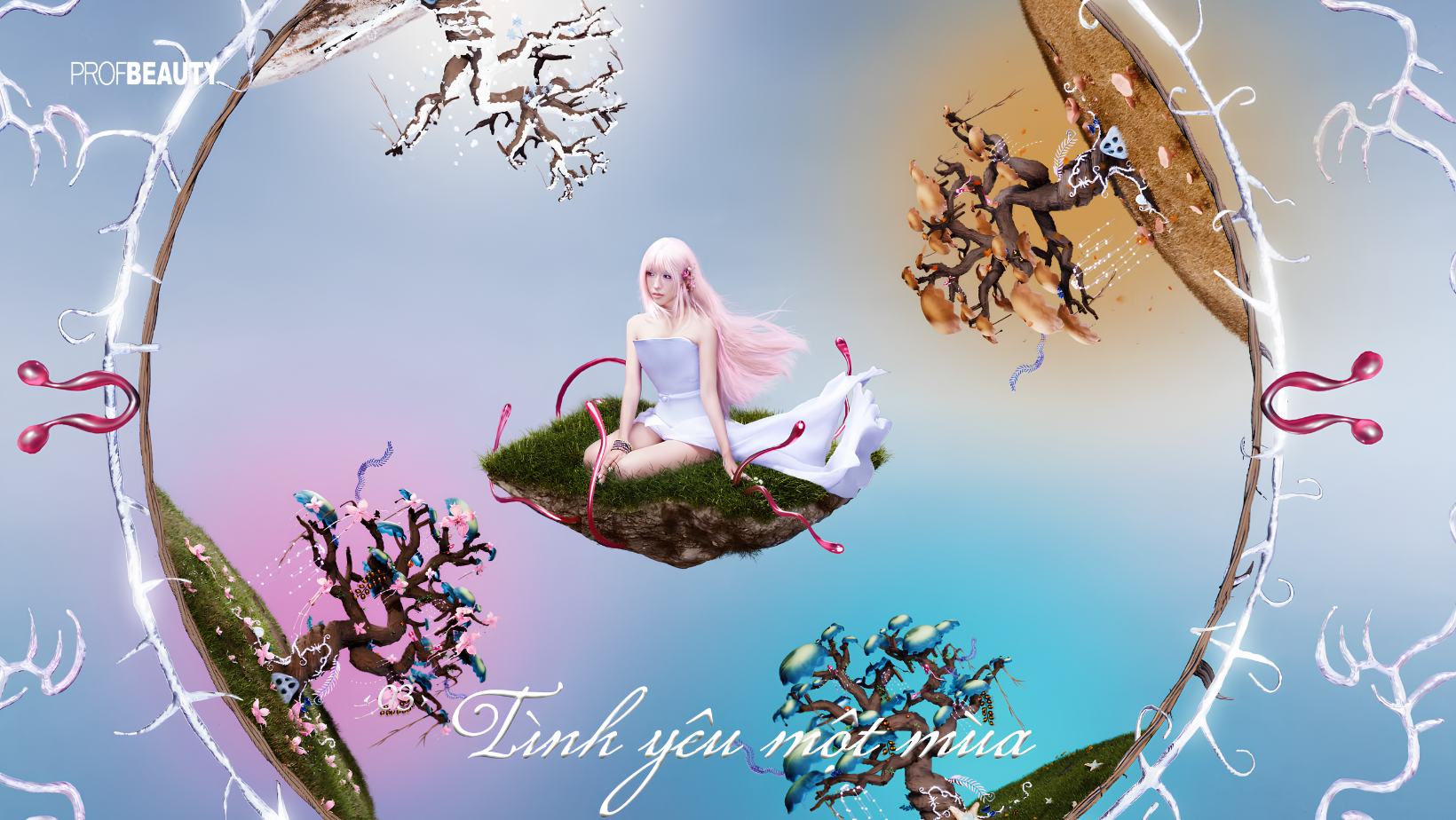 Banner Full Width