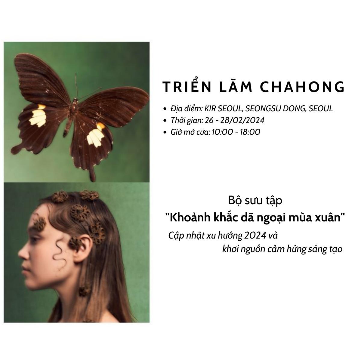 428601869_266917089775301_357037