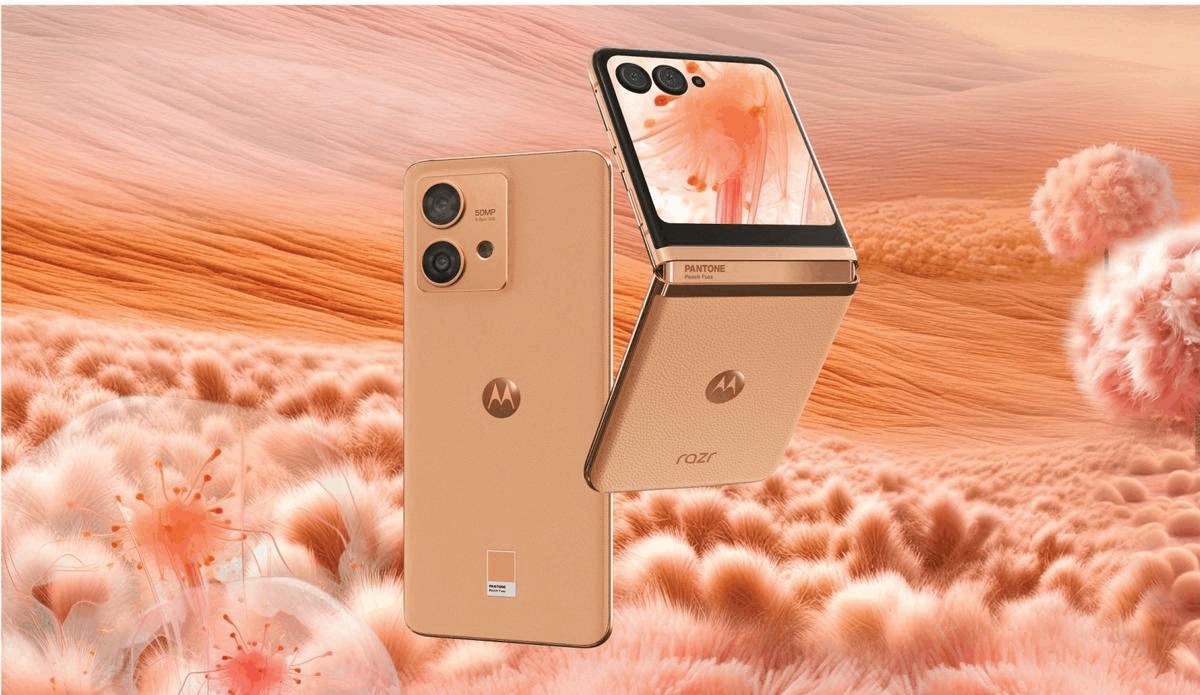 ezgif-com-gif-maker-3