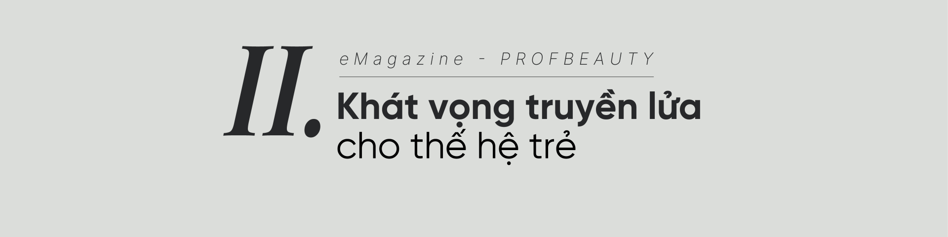 Biểu ngữ Phóng to