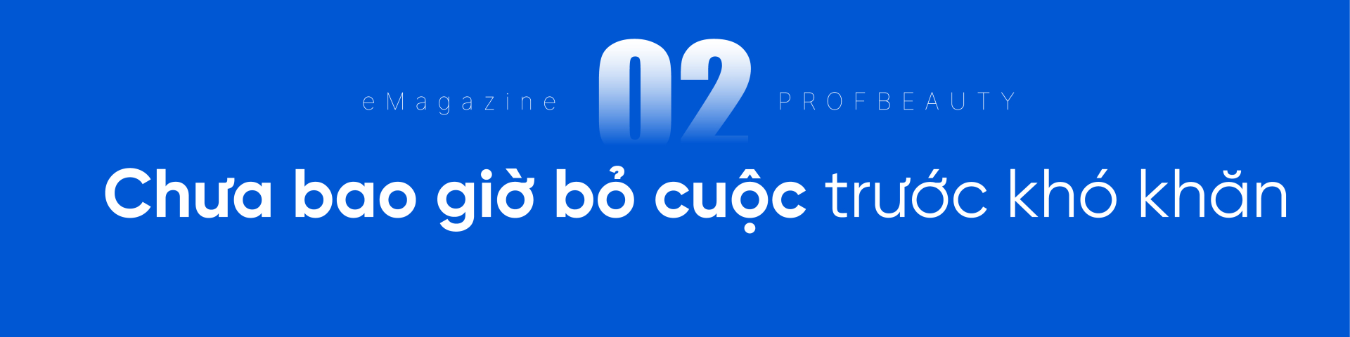 Biểu ngữ phóng to