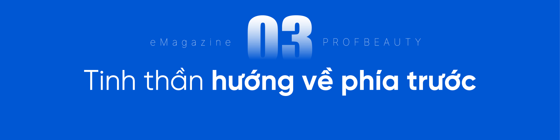 Biểu ngữ phóng to