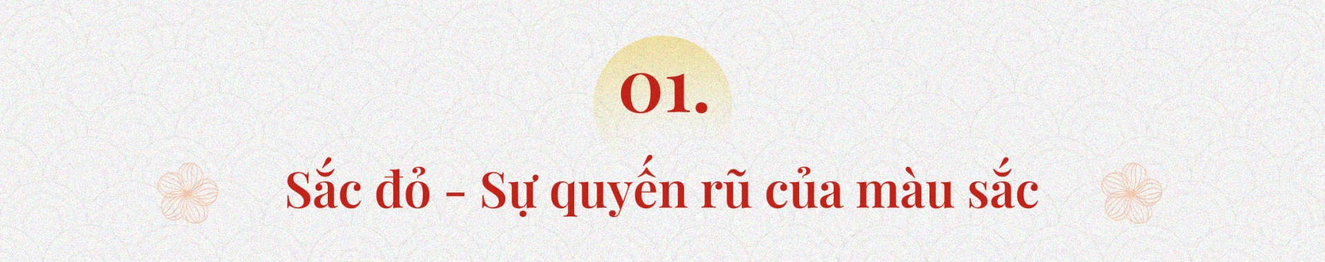 Biểu ngữ Phóng to